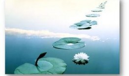 人生如梦吃瓜视频下载