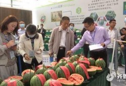 百里挑一吃瓜完整视频,揭秘热门视频背后的精彩瞬间