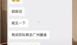 吃瓜网站聊天记录及视频,聊天记录与视频背后的惊人真相