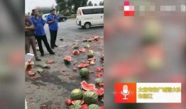 顺义西马坡吃瓜事件视频,一场引发热议的网络视频风波