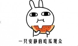 吃瓜最正确的姿势视频教程,解锁最正确姿势的吃瓜教程