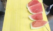 安静地吃瓜的视频,一窥安静吃瓜的悠闲时光