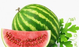 买花吃瓜视频素材大全高清,高清素材大全带你领略视觉盛宴