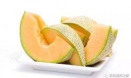 哈密瓜咋熬粥吃的视频,夏日清凉养生新食法