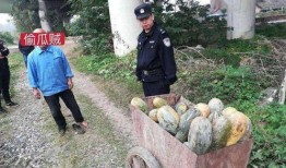 冕宁吃瓜事件真相视频完整版,揭秘真相背后的惊人内幕