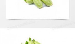 吃葫芦瓜视频大全,视频大全带你领略各式烹饪技巧