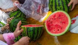 江苏吃瓜视频,揭秘江苏本土热门事件背后的故事