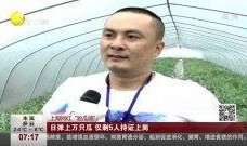 在线吃瓜赵龙视频,揭秘娱乐圈幕后真相
