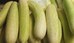 吃瓜视频大全简单点