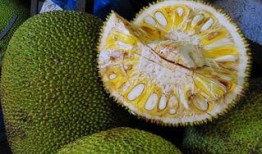 吃菠萝蜜瓜视频在线观看,菠萝蜜瓜视频在线观看，尽享夏日清新口感