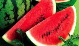 郑州财经工商吃瓜视频