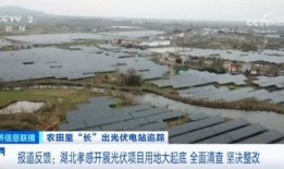 安新县最近的吃瓜视频,揭秘当地生活百态