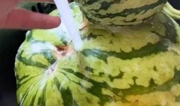 搞笑吃瓜声音视频,让你捧腹大笑