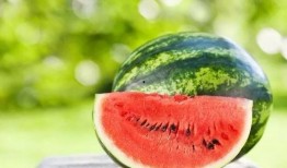 四川交通职业吃瓜视频,揭秘行业幕后趣闻