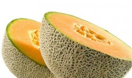 蛇可以吃哈密瓜吗视频讲解,哈密瓜在蛇餐中的地位