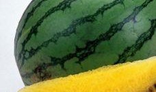 吃蒲瓜有利于减肥吗视频,吃蒲瓜真的能瘦下来吗？