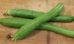 立秋后吃方瓜好吗视频,秋季滋补新选择