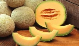 蜗牛吃西瓜哈密瓜视频