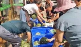 喀什幼儿园吃瓜事件视频,幼儿集体吃瓜引发关注