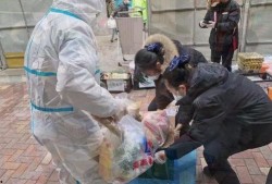 镇平疫情吃瓜事件视频播放