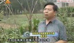 安阳吃瓜新闻最新消息视频,最新视频揭秘事件真相