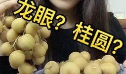 吃瓜配音乐乐乐视频,乐乐视频带你畅享视听盛宴