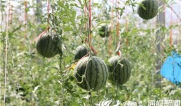 常州湖塘吃瓜事件视频,一场引发热议的街头冲突