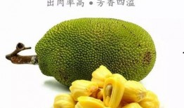 吃菠萝蜜瓜视频在线观看,菠萝蜜瓜视频在线观看，尽享夏日清新口感