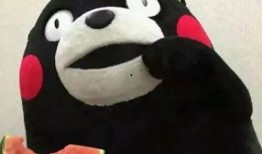 吃瓜群众刘二喵视频,揭秘娱乐圈幕后故事