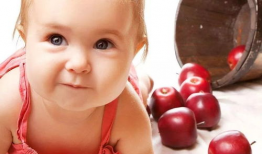 吃瓜宝宝视频全集,揭秘视频全集中的欢乐与泪水