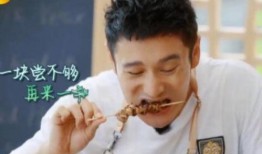 瓜哥带我吃西瓜视频在线观看,在线观看美食之旅