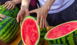 吃瓜视频艺术学院,揭秘艺术圈的趣味与魅力