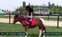 美女骑马吃瓜视频大全,美女骑马吃瓜视频大盘点